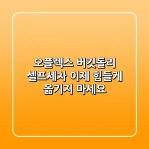 오플렉스 버킷돌리: 셀프세차, 이제 힘들게 옮기지 마세요!