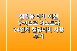캠핑용 티비, 이젠 무선으로! 이스트라 24인치 캠핑티비 사용 후기