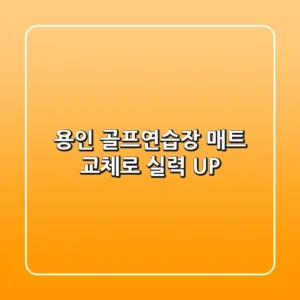 용인 골프연습장, 매트 교체로 실력 UP!🏌️‍♂️