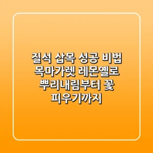 질석 삽목 성공 비법: 목마가렛 레몬옐로 뿌리내림부터 꽃 피우기까지