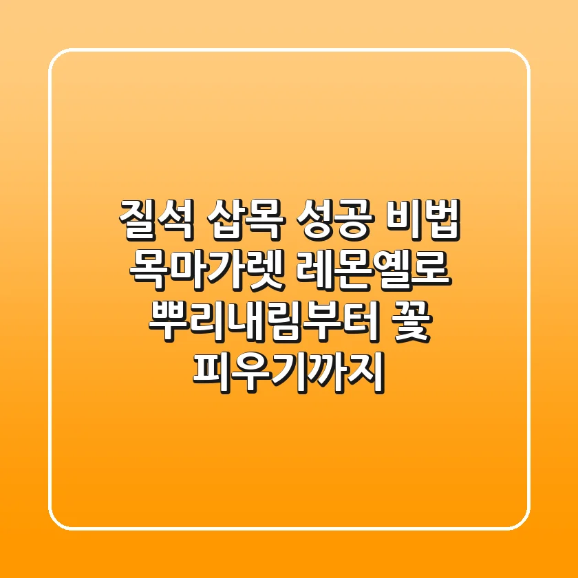 질석 삽목 성공 비법: 목마가렛 레몬옐로 뿌리내림부터 꽃 피우기까지