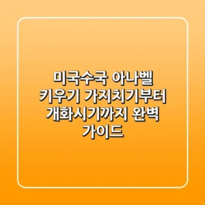 미국수국 아나벨 키우기: 가지치기부터 개화시기까지 완벽 가이드