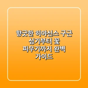 향긋한 히야신스, 구근 심기부터 꽃 피우기까지 완벽 가이드!