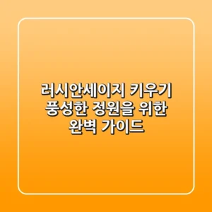 러시안세이지 키우기: 풍성한 정원을 위한 완벽 가이드