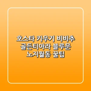 호스타 키우기: 비비추 골든티아라 & 블루문 노지월동 꿀팁