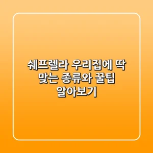 쉐프렐라, 우리집에 딱 맞는 종류와 꿀팁 알아보기