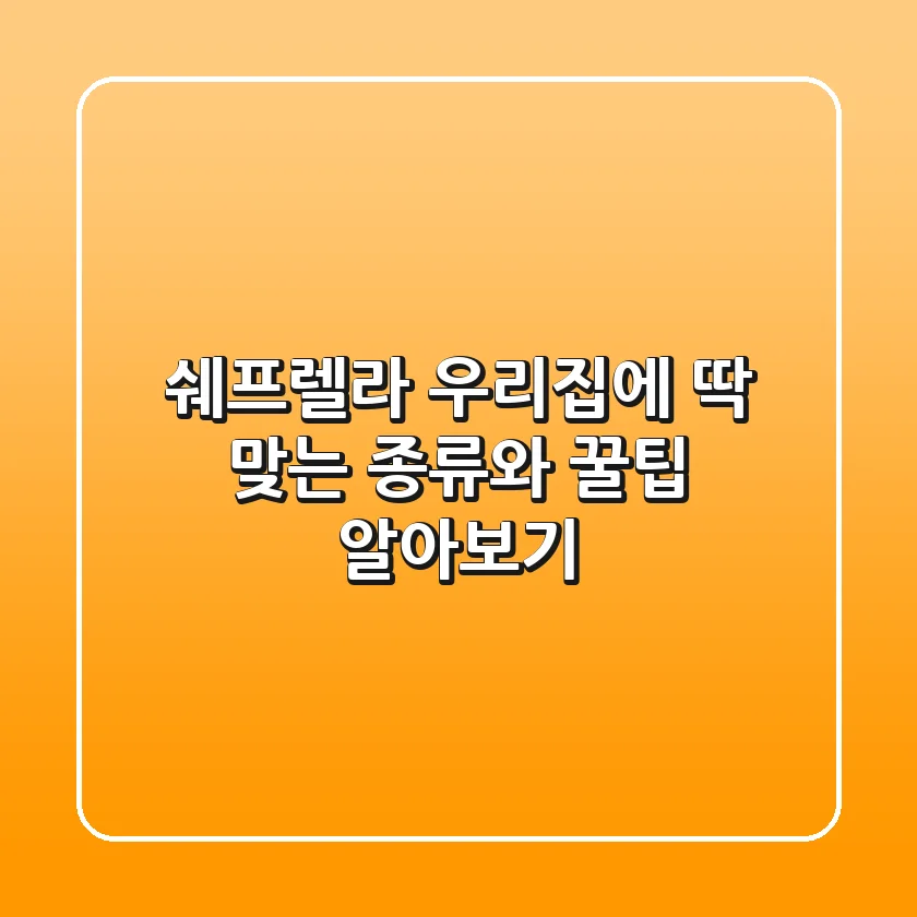 쉐프렐라, 우리집에 딱 맞는 종류와 꿀팁 알아보기