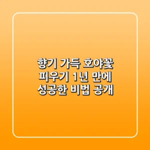 향기 가득! 호야꽃 피우기, 1년 만에 성공한 비법 공개