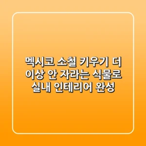 멕시코 소철 키우기: 더 이상 안 자라는 식물로 실내 인테리어 완성!