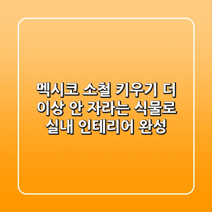 멕시코 소철 키우기: 더 이상 안 자라는 식물로 실내 인테리어 완성!