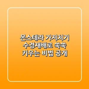 몬스테라 가지치기, 수경재배로 쑥쑥 키우는 비법 공개!