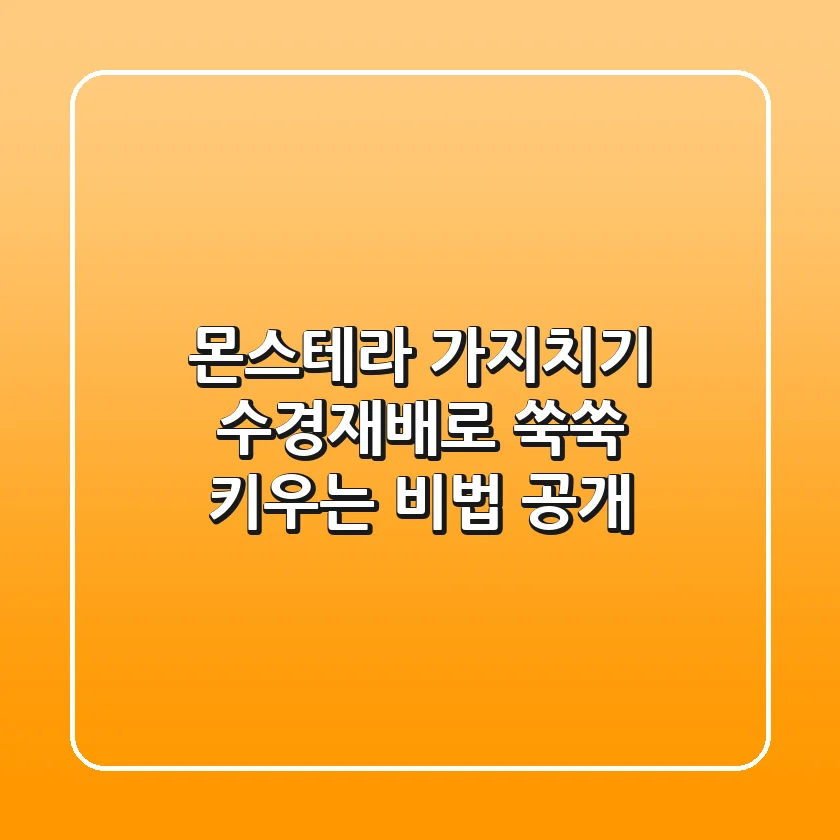 몬스테라 가지치기, 수경재배로 쑥쑥 키우는 비법 공개!