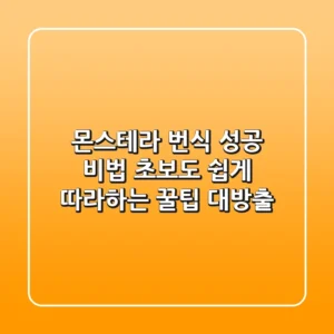 몬스테라 번식 성공 비법: 초보도 쉽게 따라하는 꿀팁 대방출!