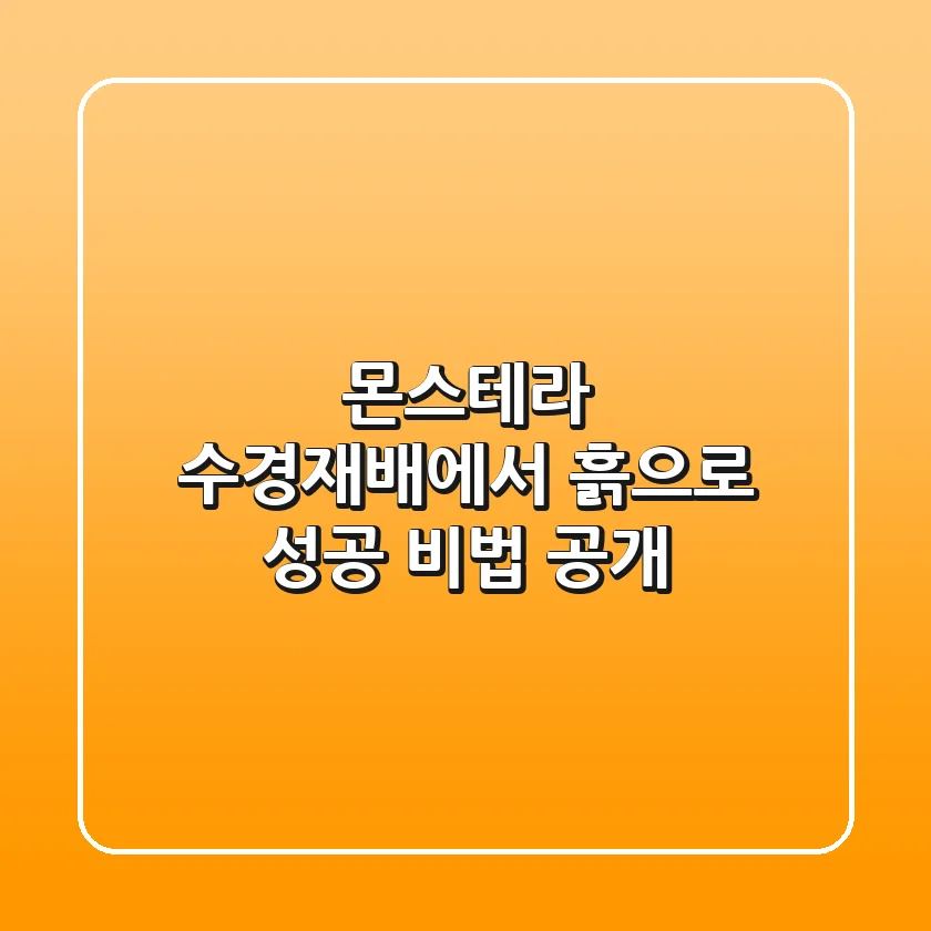 몬스테라 수경재배에서 흙으로! 성공 비법 공개