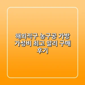 [해외직구] 농구공 가방, 가성비 최고! 알리 구매 후기