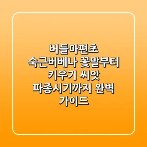 버들마편초 숙근버베나: 꽃말부터 키우기, 씨앗 파종시기까지 완벽 가이드