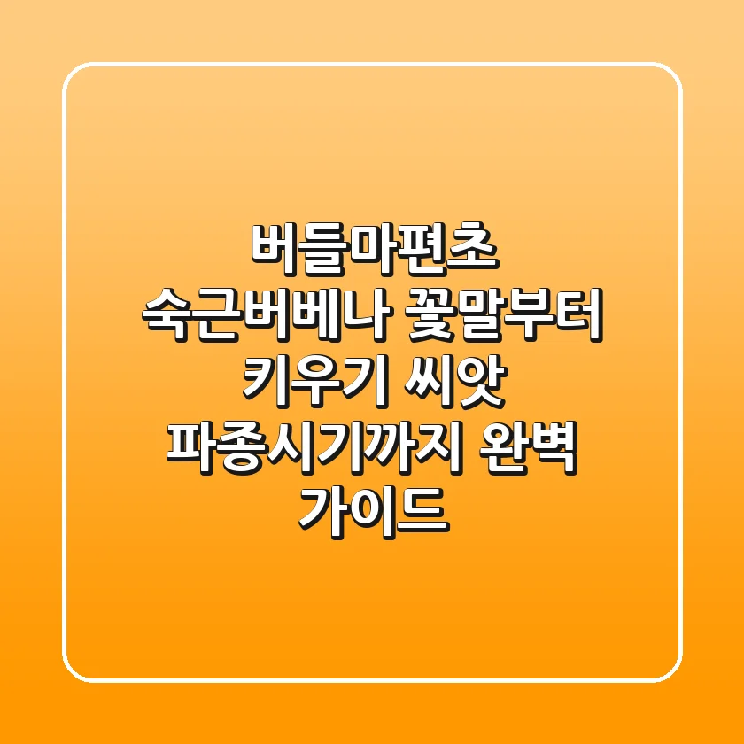 버들마편초 숙근버베나: 꽃말부터 키우기, 씨앗 파종시기까지 완벽 가이드
