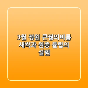 3월 정원, 큰꿩의비름 새싹과 원종 튤립의 설렘