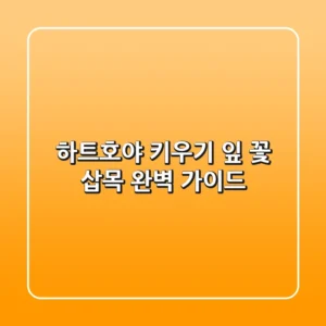 하트호야 키우기: 잎, 꽃, 삽목 완벽 가이드