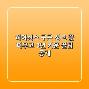 히아신스 구근 심고, 꽃 피우고, 3년 키운 꿀팁 공개!