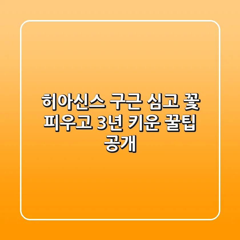 히아신스 구근 심고, 꽃 피우고, 3년 키운 꿀팁 공개!