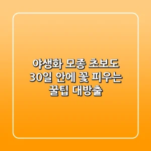 야생화 모종, 초보도 30일 안에 꽃 피우는 꿀팁 대방출!