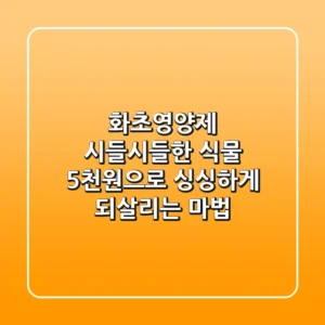 화초영양제: 시들시들한 식물, 5천원으로 싱싱하게 되살리는 마법