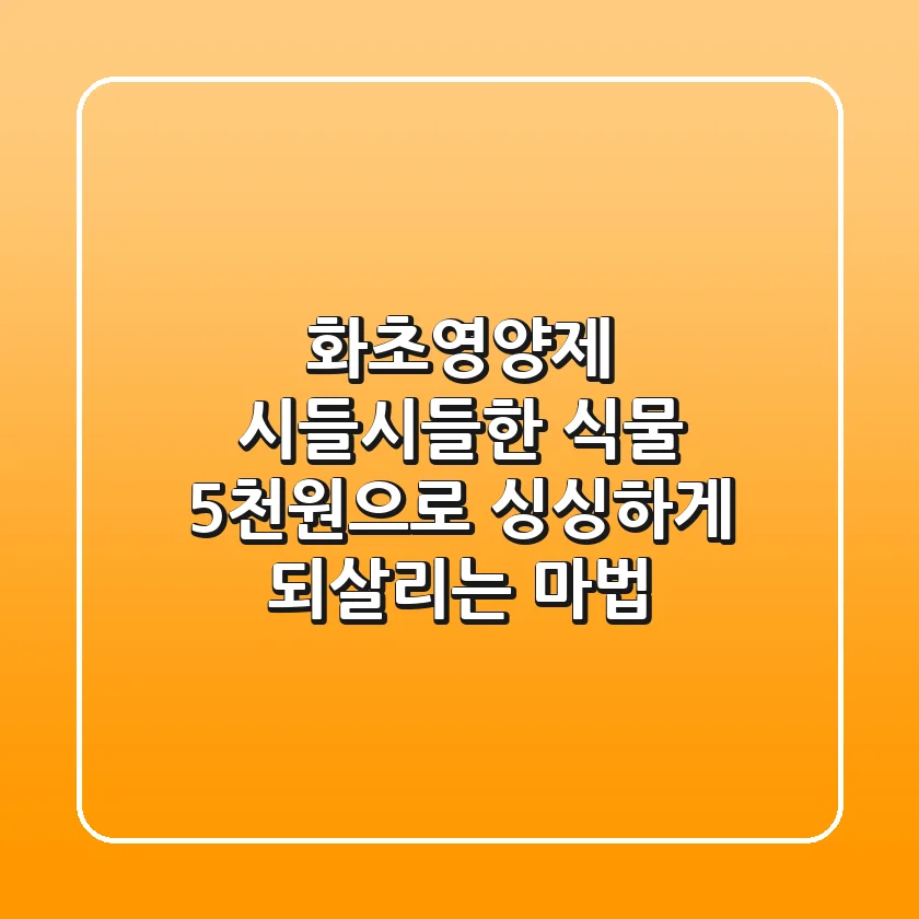 화초영양제: 시들시들한 식물, 5천원으로 싱싱하게 되살리는 마법