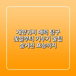 개양귀비 매력 탐구: 꽃말부터 키우기 꿀팁, 숨겨진 효능까지!