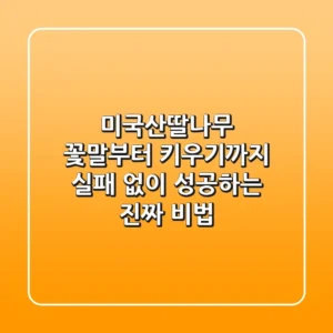미국산딸나무, 꽃말부터 키우기까지: 실패 없이 성공하는 진짜 비법