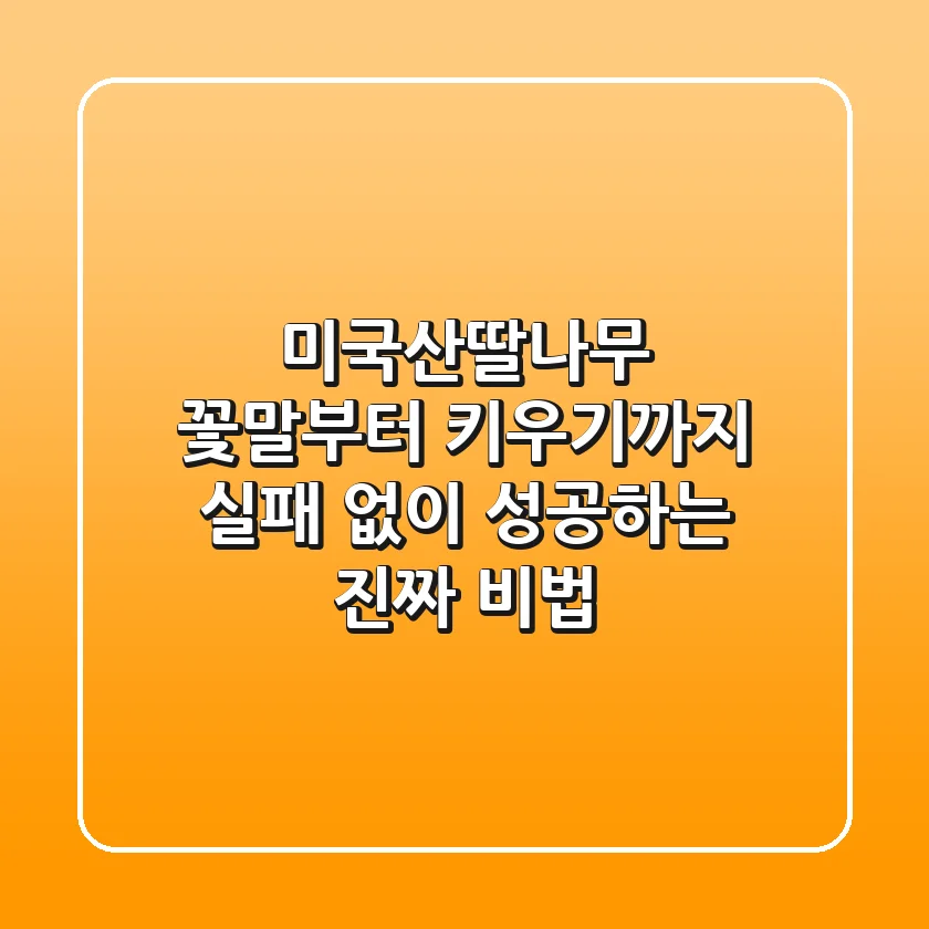미국산딸나무, 꽃말부터 키우기까지: 실패 없이 성공하는 진짜 비법