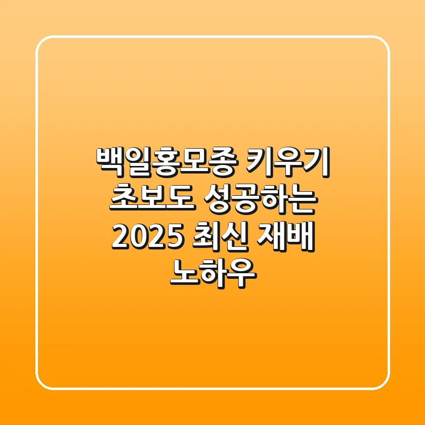 백일홍모종 키우기: 초보도 성공하는 2025 최신 재배 노하우
