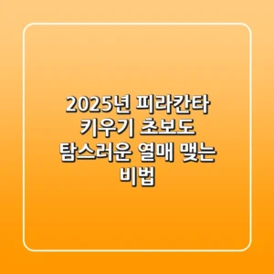 2025년 피라칸타 키우기: 초보도 탐스러운 열매 맺는 비법