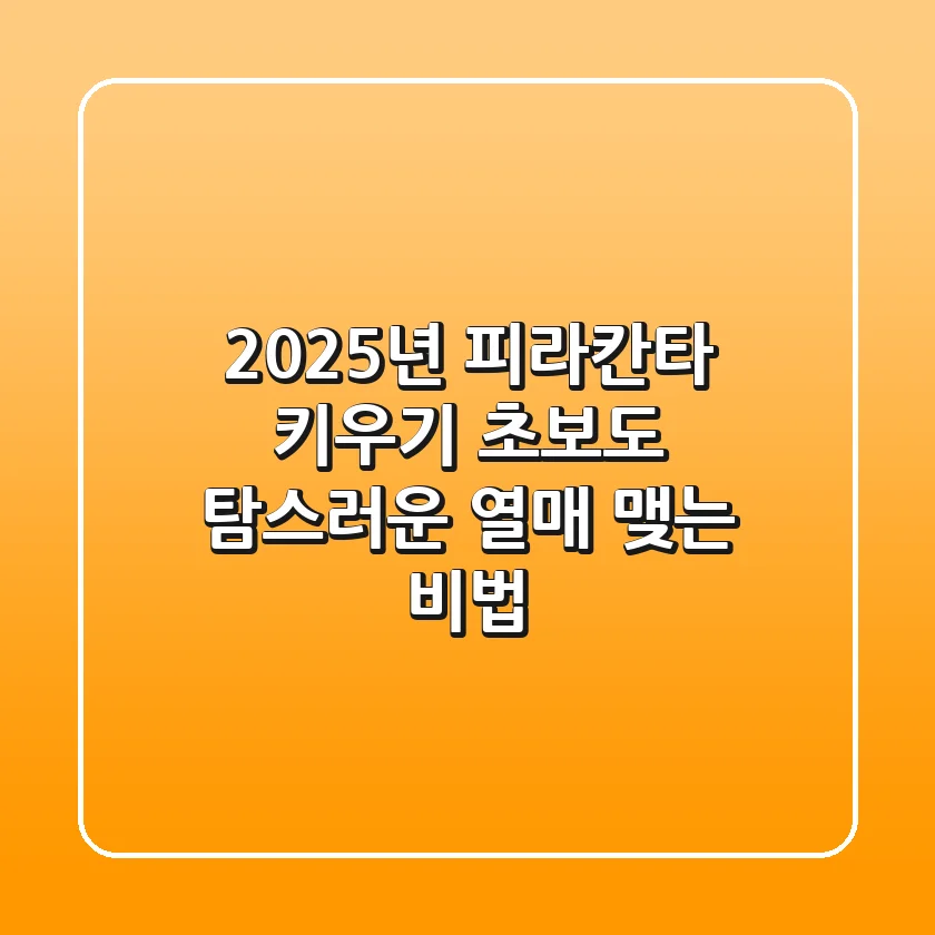 2025년 피라칸타 키우기: 초보도 탐스러운 열매 맺는 비법