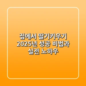 집에서 딸기키우기, 2025년 성공 비법과 실전 노하우