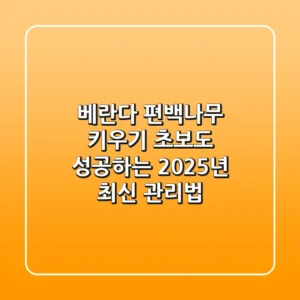 베란다 편백나무 키우기: 초보도 성공하는 2025년 최신 관리법