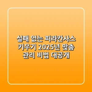 실패 없는 피라칸사스 키우기, 2025년 맞춤 관리 비법 대공개