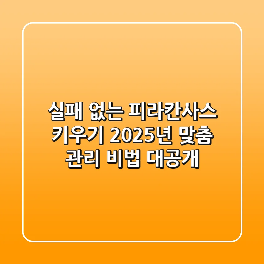 실패 없는 피라칸사스 키우기, 2025년 맞춤 관리 비법 대공개