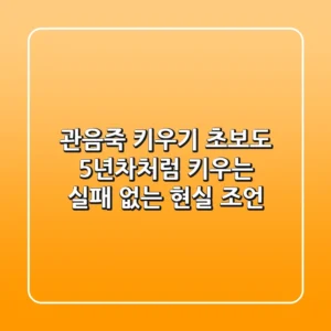 관음죽 키우기: 초보도 5년차처럼 키우는 실패 없는 현실 조언