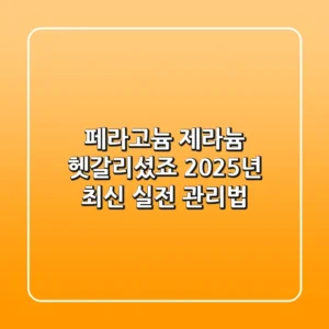 페라고늄, 제라늄 헷갈리셨죠? 2025년 최신 실전 관리법