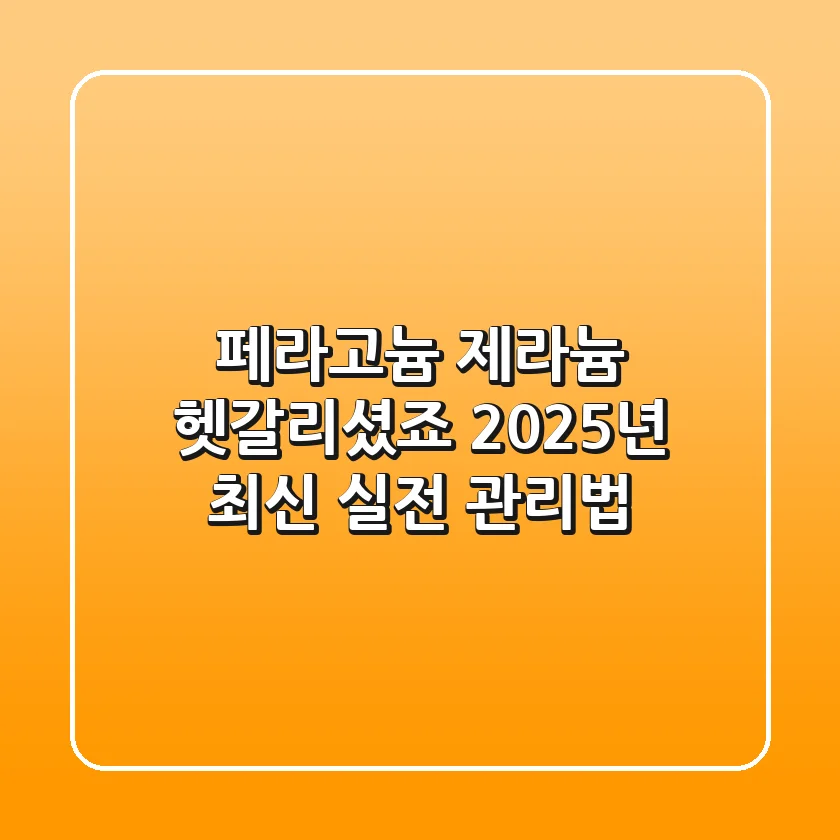 페라고늄, 제라늄 헷갈리셨죠? 2025년 최신 실전 관리법