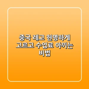 중국 레고, 현명하게 고르고 ‘수업료’ 아끼는 비법