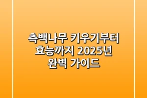 측백나무 키우기부터 효능까지: 2025년 완벽 가이드