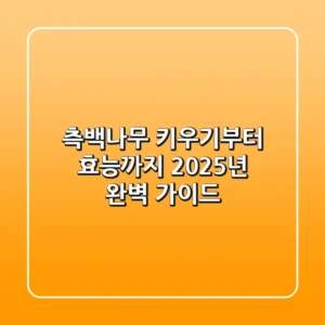 측백나무 키우기부터 효능까지: 2025년 완벽 가이드