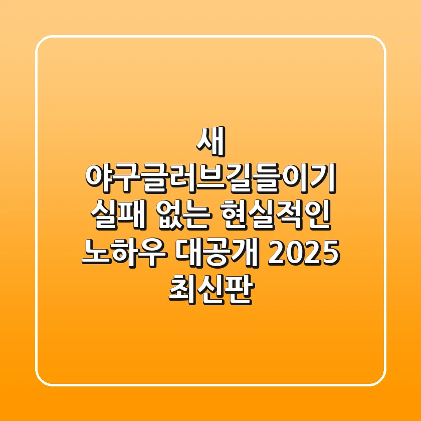새 야구글러브길들이기, 실패 없는 현실적인 노하우 대공개 (2025 최신판)