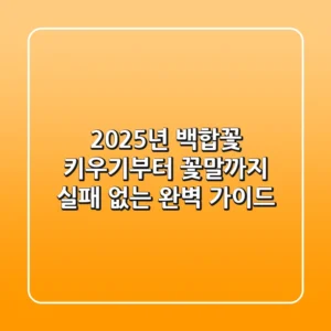 2025년 백합꽃: 키우기부터 꽃말까지, 실패 없는 완벽 가이드