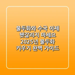 불두화와 수국, 이제 헷갈리지 마세요! 2025년 불두화 키우기 완벽 가이드