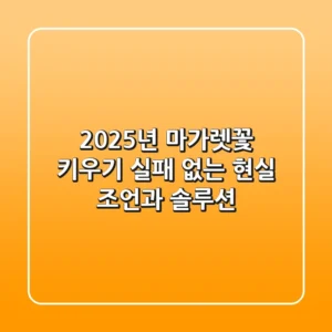 2025년 마가렛꽃 키우기, 실패 없는 현실 조언과 솔루션
