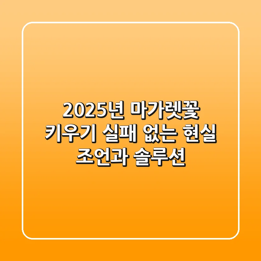 2025년 마가렛꽃 키우기, 실패 없는 현실 조언과 솔루션