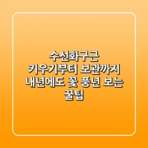 수선화구근 키우기부터 보관까지, 내년에도 꽃 풍년 보는 꿀팁!